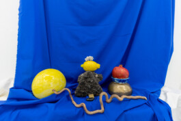 IRENE FERNÁNDEZ ARCAS