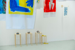 IRENE FERNÁNDEZ ARCAS