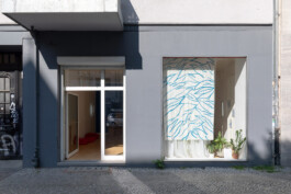 IRENE FERNÁNDEZ ARCAS