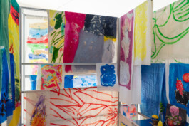 IRENE FERNÁNDEZ ARCAS