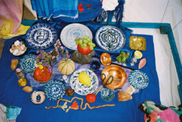 IRENE FERNÁNDEZ ARCAS