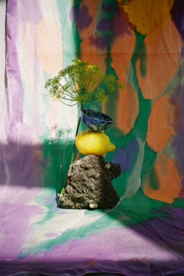 IRENE FERNÁNDEZ ARCAS