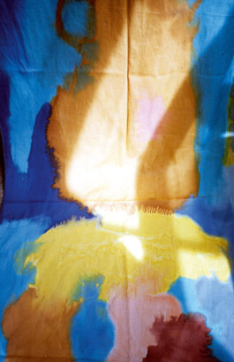 IRENE FERNÁNDEZ ARCAS