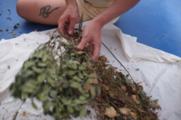 IRENE FERNÁNDEZ ARCAS