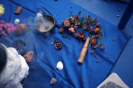 IRENE FERNÁNDEZ ARCAS