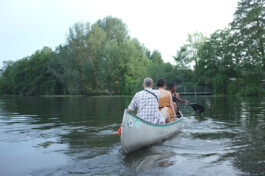 IRENE FERNÁNDEZ ARCAS