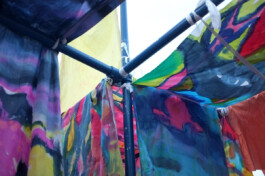 IRENE FERNÁNDEZ ARCAS