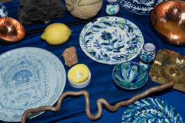 IRENE FERNÁNDEZ ARCAS