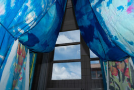 IRENE FERNÁNDEZ ARCAS