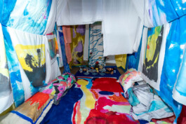 IRENE FERNÁNDEZ ARCAS