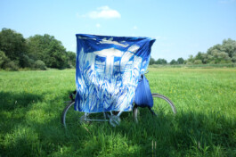 IRENE FERNÁNDEZ ARCAS