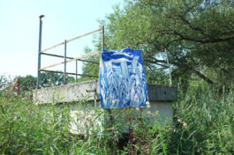 IRENE FERNÁNDEZ ARCAS