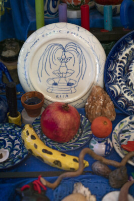 IRENE FERNÁNDEZ ARCAS