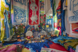 IRENE FERNÁNDEZ ARCAS