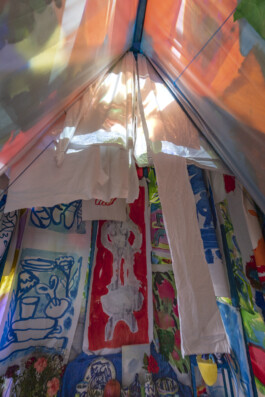 IRENE FERNÁNDEZ ARCAS