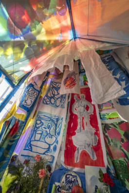 IRENE FERNÁNDEZ ARCAS