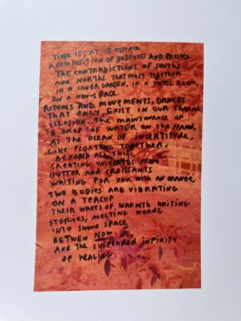 IRENE FERNÁNDEZ ARCAS