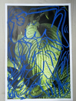 IRENE FERNÁNDEZ ARCAS