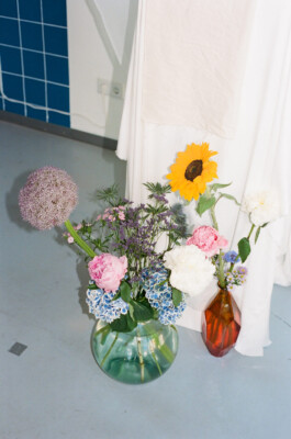 IRENE FERNÁNDEZ ARCAS