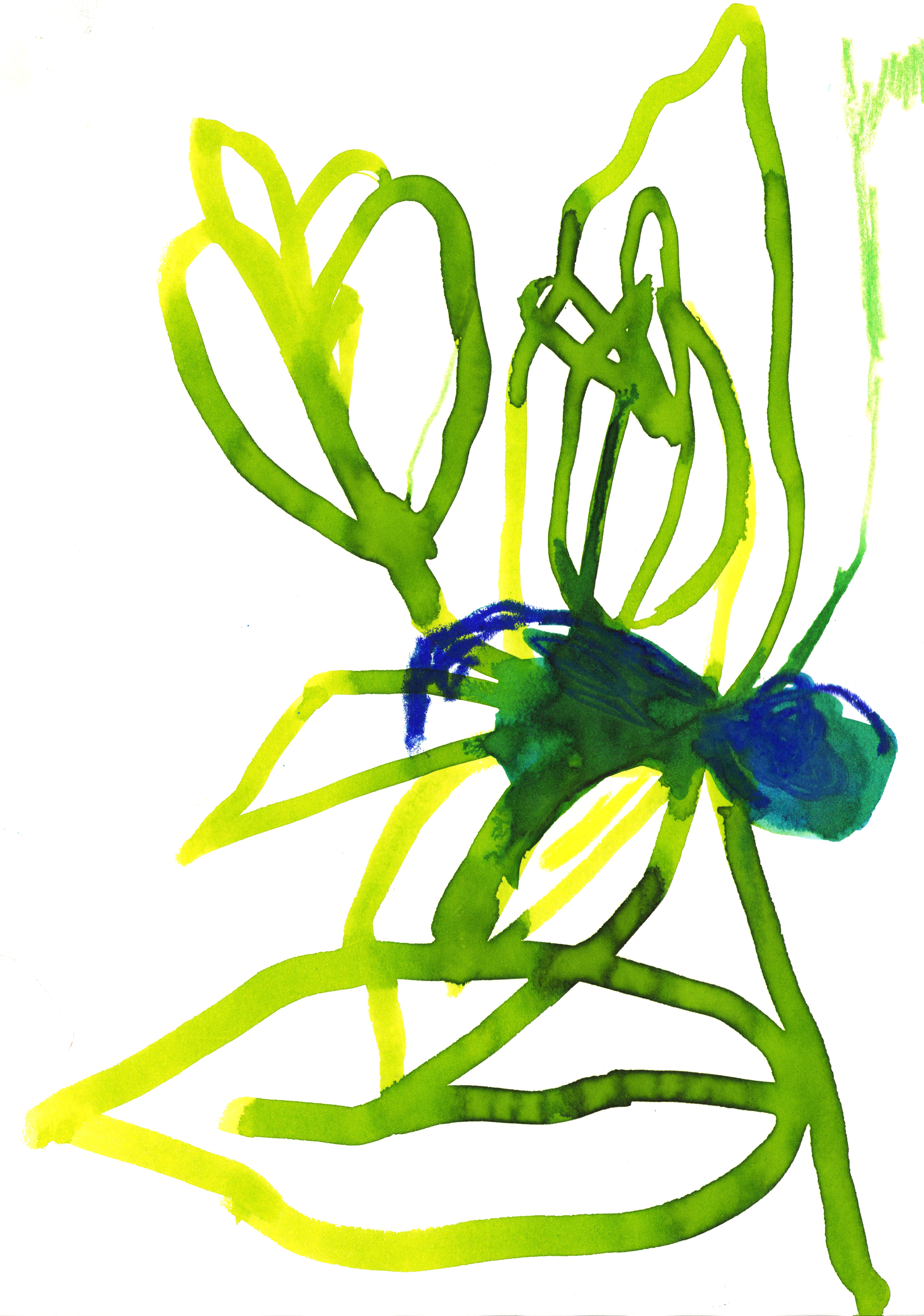 IRENE FERNÁNDEZ ARCAS