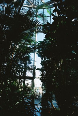 IRENE FERNÁNDEZ ARCAS