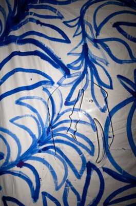 IRENE FERNÁNDEZ ARCAS