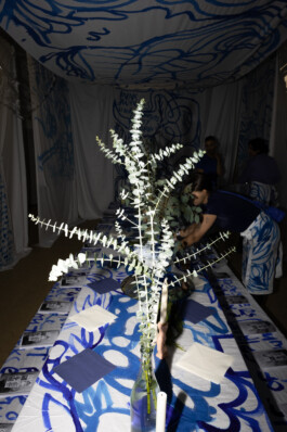 IRENE FERNÁNDEZ ARCAS