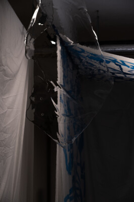 IRENE FERNÁNDEZ ARCAS