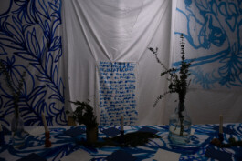 IRENE FERNÁNDEZ ARCAS