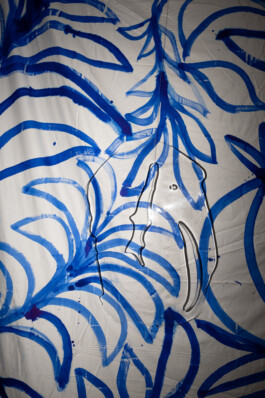 IRENE FERNÁNDEZ ARCAS