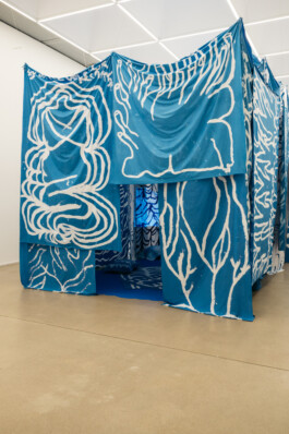 IRENE FERNÁNDEZ ARCAS