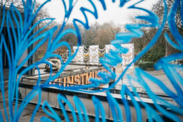 IRENE FERNÁNDEZ ARCAS