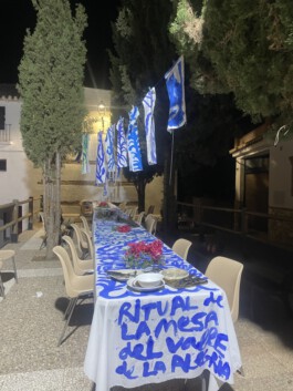 IRENE FERNÁNDEZ ARCAS