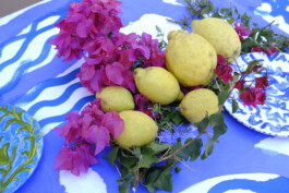 IRENE FERNÁNDEZ ARCAS