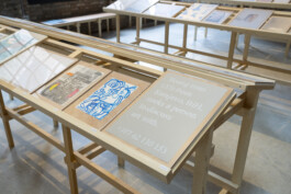 IRENE FERNÁNDEZ ARCAS