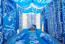 IRENE FERNÁNDEZ ARCAS