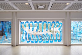 IRENE FERNÁNDEZ ARCAS