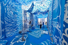 IRENE FERNÁNDEZ ARCAS