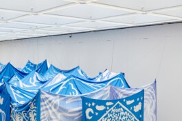 IRENE FERNÁNDEZ ARCAS