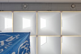 IRENE FERNÁNDEZ ARCAS