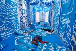 IRENE FERNÁNDEZ ARCAS