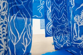 IRENE FERNÁNDEZ ARCAS