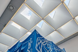 IRENE FERNÁNDEZ ARCAS