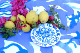 IRENE FERNÁNDEZ ARCAS