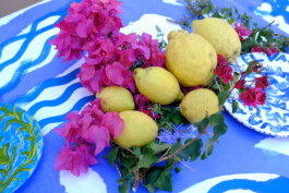 IRENE FERNÁNDEZ ARCAS