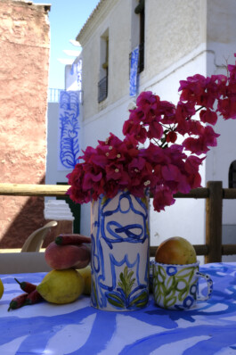 IRENE FERNÁNDEZ ARCAS