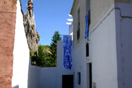 IRENE FERNÁNDEZ ARCAS