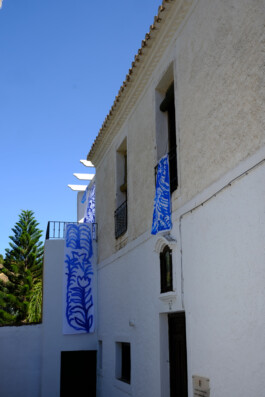 IRENE FERNÁNDEZ ARCAS