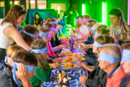 IRENE FERNÁNDEZ ARCAS