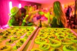 IRENE FERNÁNDEZ ARCAS